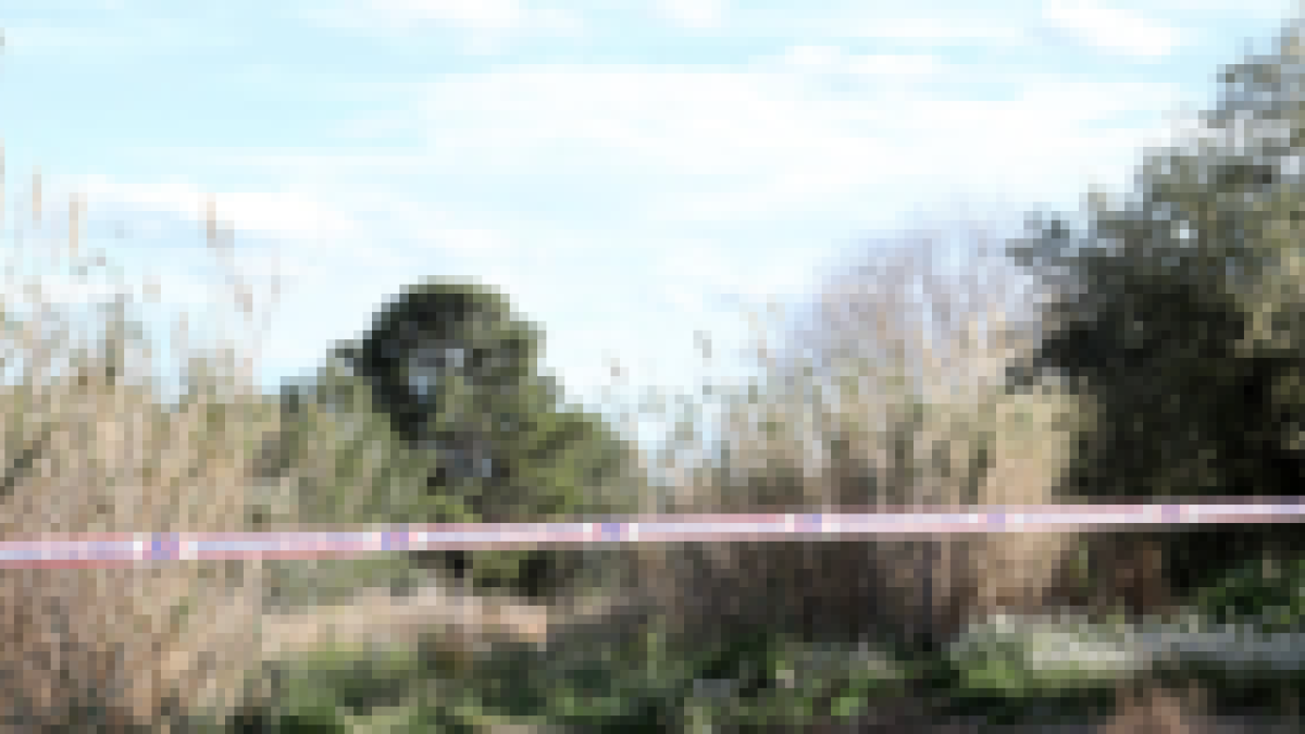 La fiscalia demana 25 anys per l'acusat del crim de Riudecanyes que es jutjarà dilluns