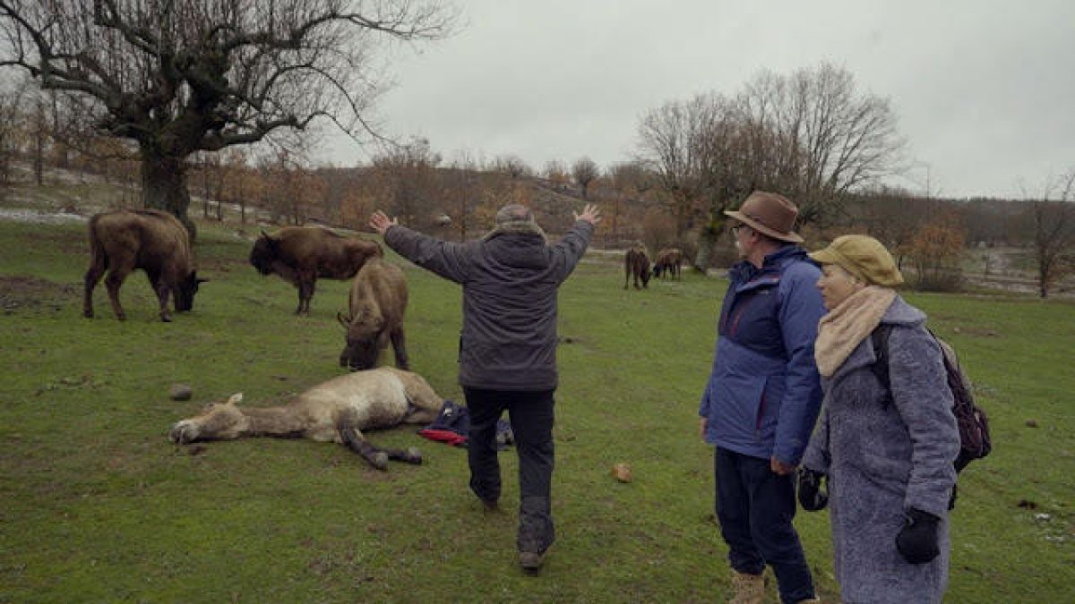 Eudald Carbonell, protagonista del documental 'Des-extinción'