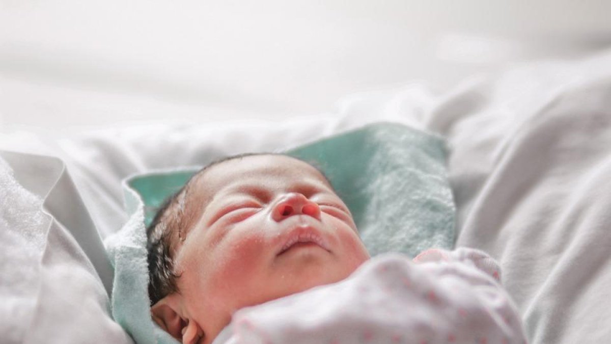 Localizan dos grupos de neuronas implicadas en el Síndrome de Leigh, hasta ahora incurable