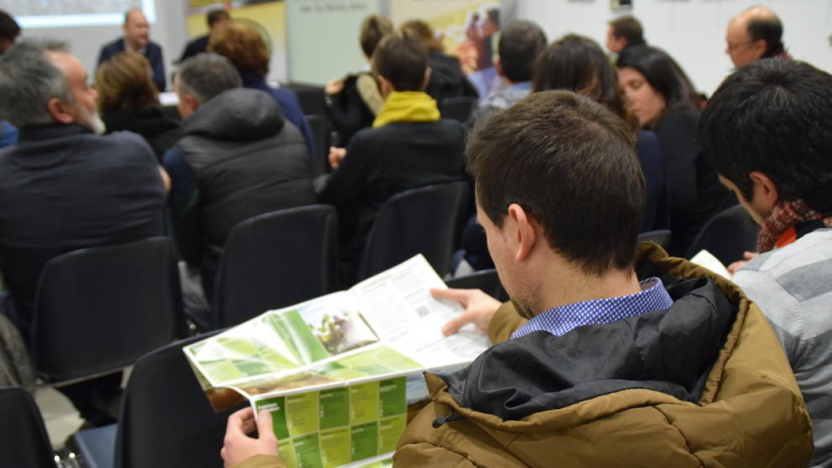 La Terra Alta estrena una Ruta del Vi