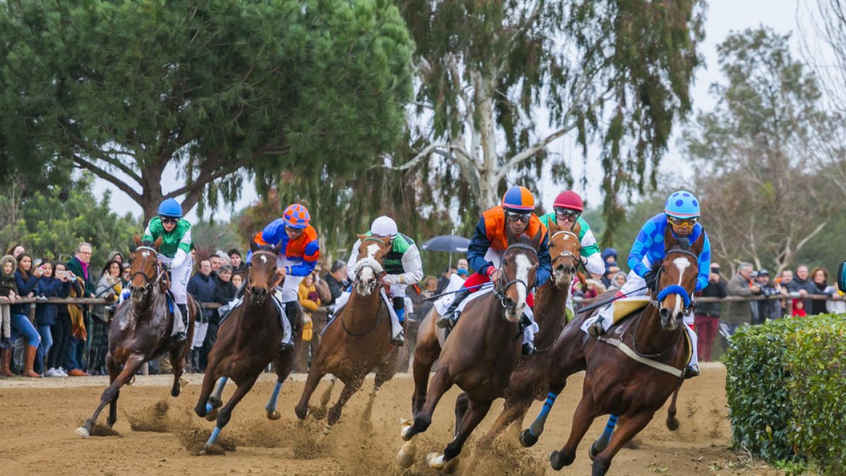 Vila-seca vibra amb el Tradicional Cós de Sant Antoni