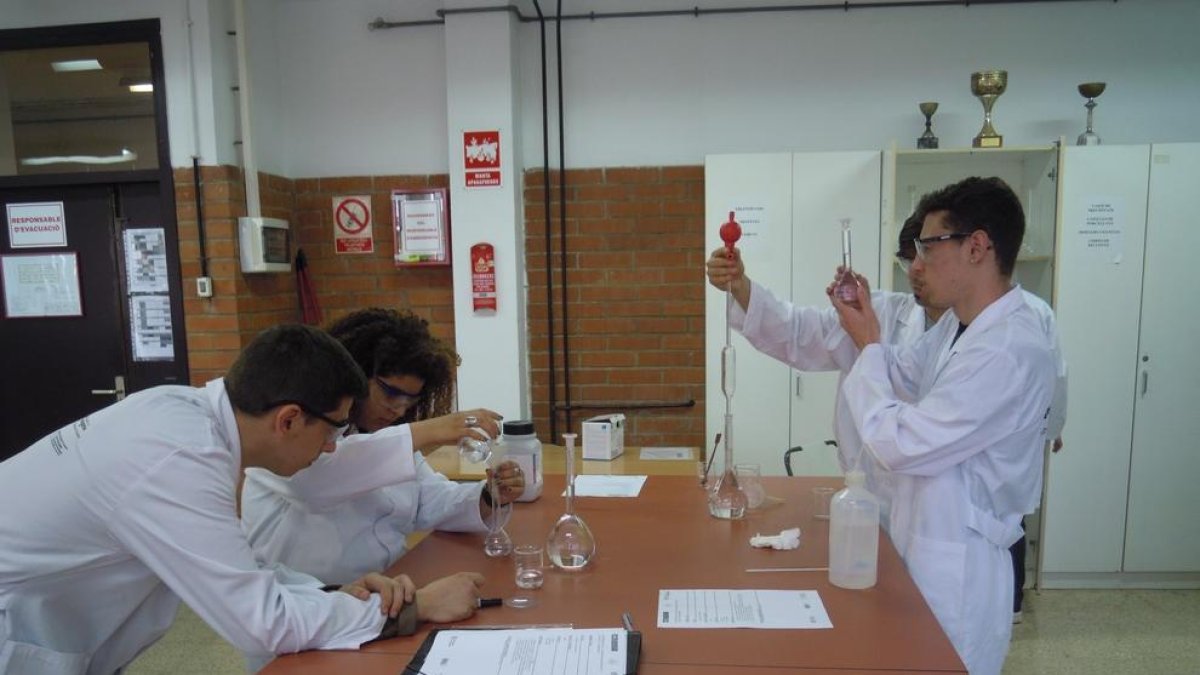 L'Ajuntament de Tarragona ofereix 72 places de formació i pràctiques a menors de 30 anys