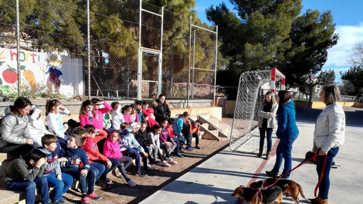 Una cinquantena d'alumnes de les escoles de Roda aprenen a tenir cura d'una mascota