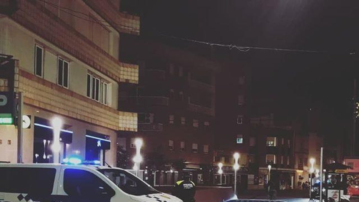 plaça Ramon Berenguer IV Amposta, porc senglar