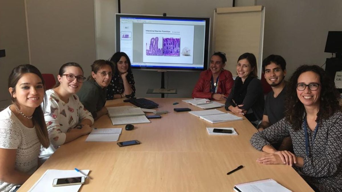 El extracto de pepita de uva protege de las alteraciones intestinales leves