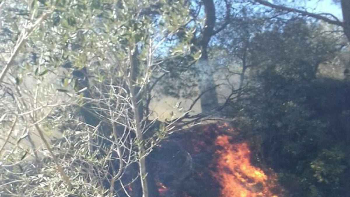 Incendi de vegetació al Coll de l'Alba