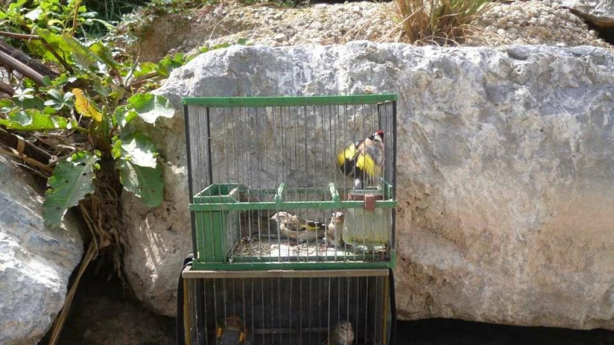 Denunciat per caçar ocells a la llera del riu Francolí a Tarragona