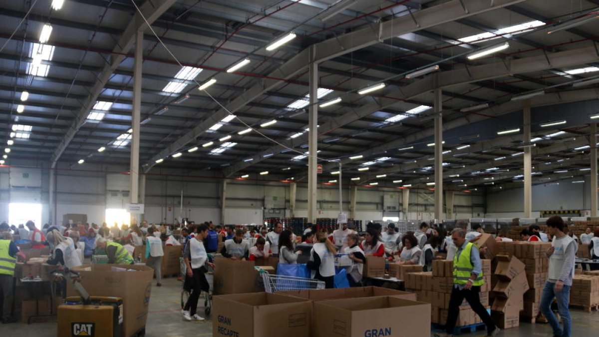 El Banco de Alimentos cifra por encima de los 4 millones de kilos la comida recogida durante la Gran Provisión