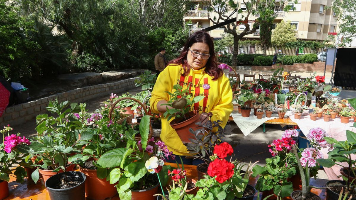 La 4a Festa de les Flors recull fons per la Fundació Tosquelles