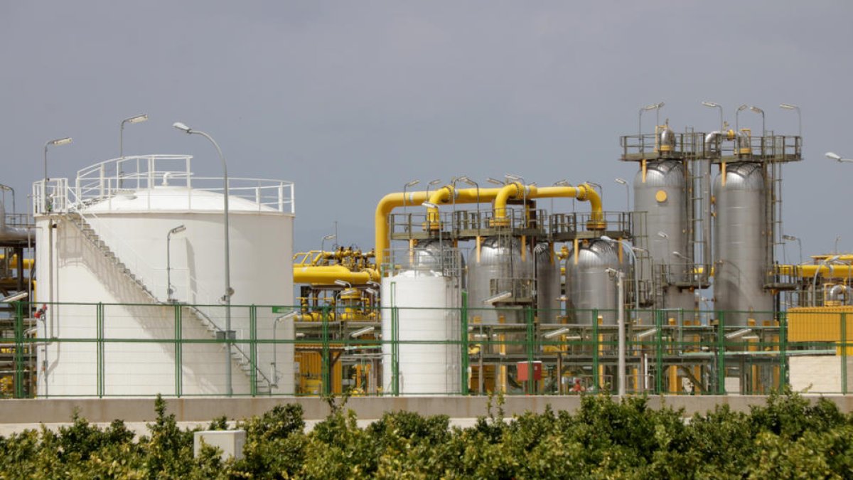 Juntos por Alcanar, Ivan Romeu, plataforma marina, ERC, ilegal, conexión, restitución, Plataforma Ciudadana en defensa de las Tierras del Sénia