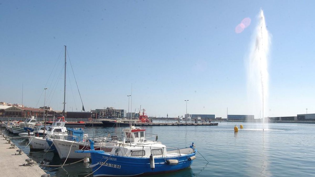 El géiser del Serrallo, el grande ausente de la reforma del 2007