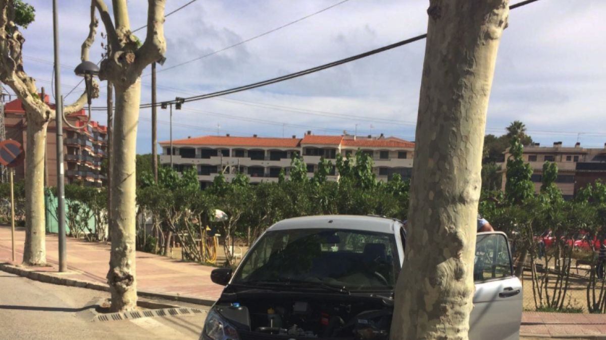 Detienen a un hombre que había huido después de estampar el coche que conducía contra un árbol