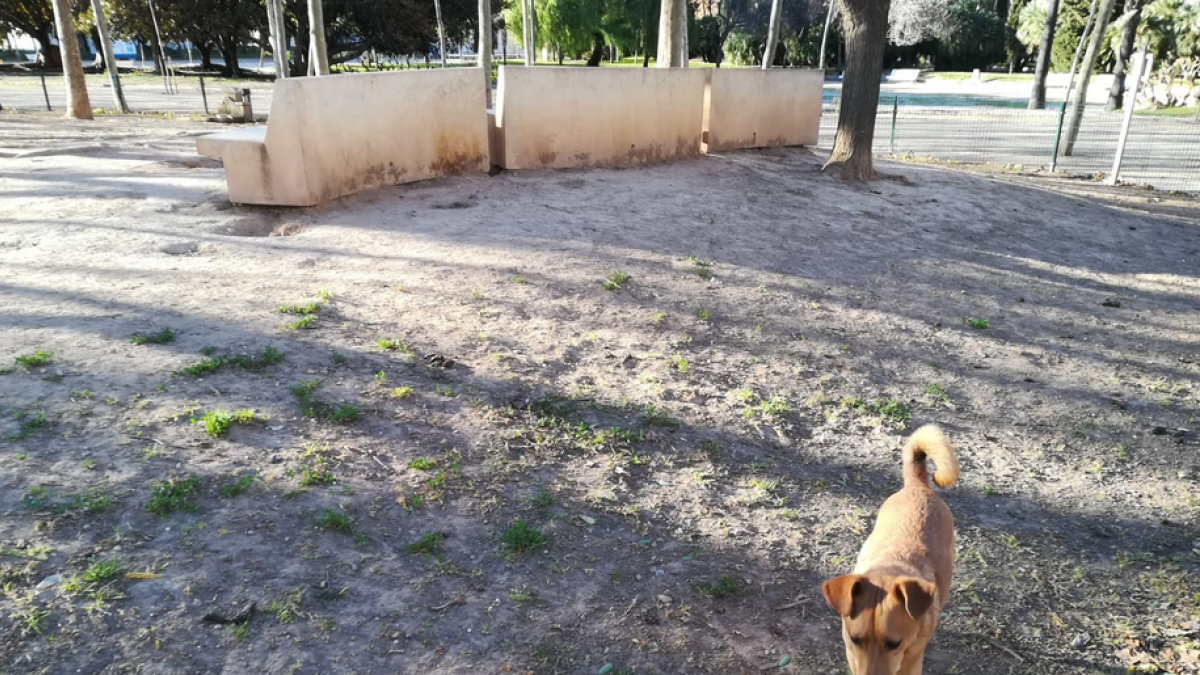 Usuarios del pipi-can del Parque de la Quinta piden más seguridad