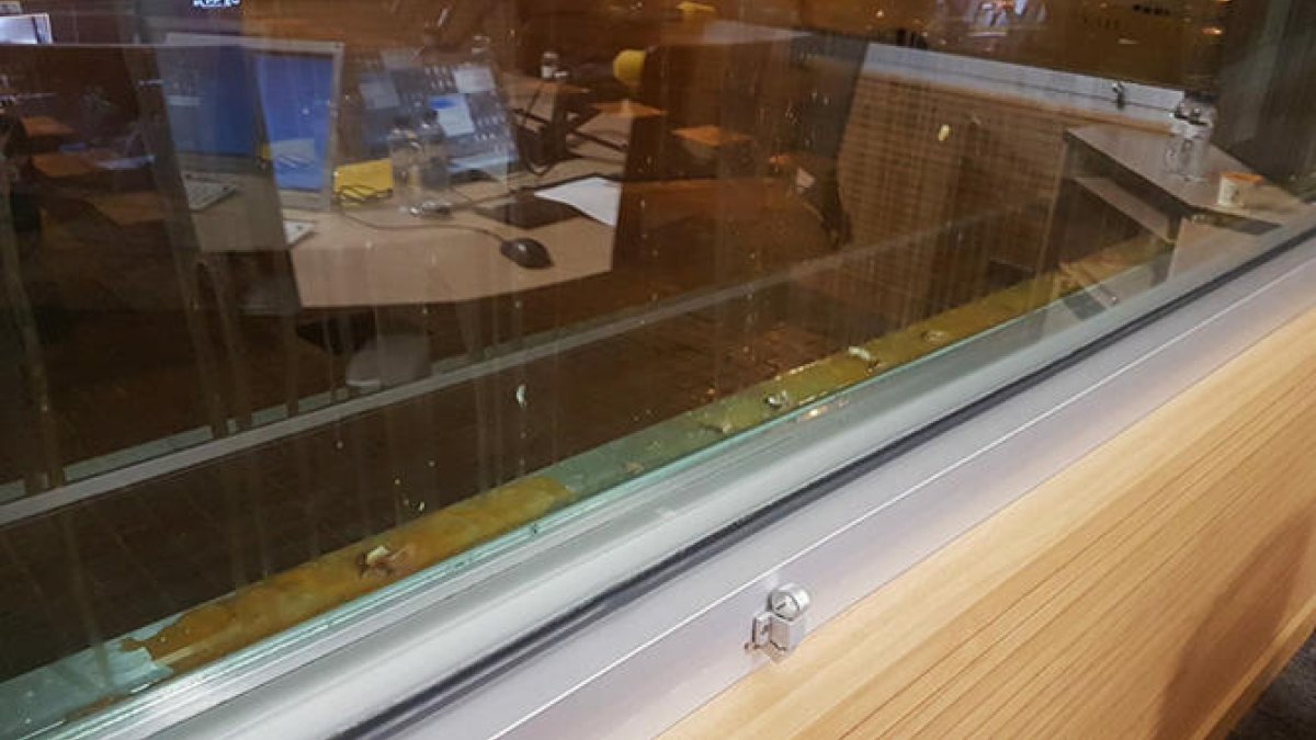 Uns encaputxats llencen ous de matinada als vidres de l'estudi 1 de Catalunya Ràdio