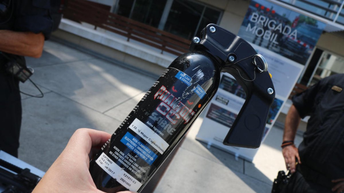 Irídia demana a Interior que es replantegi l'ús del gas pebre pel seu «impacte físic i psicològic»