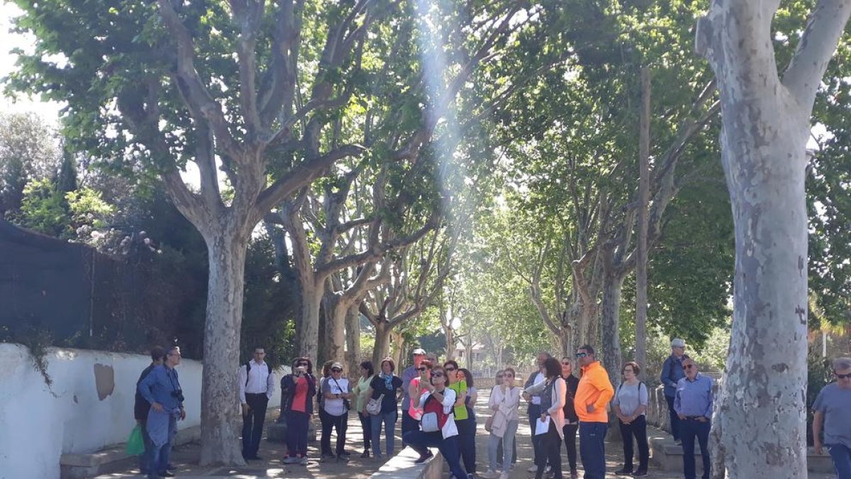 Caminada pel passeig de la Boca de la Mina de Reus per explicar el projecte de recuperació