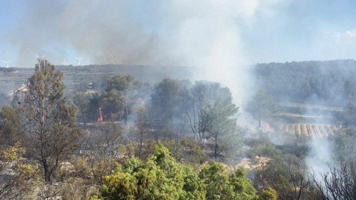 Un incendi de vegetació a Batea mobilitza sis dotacions de Bombers