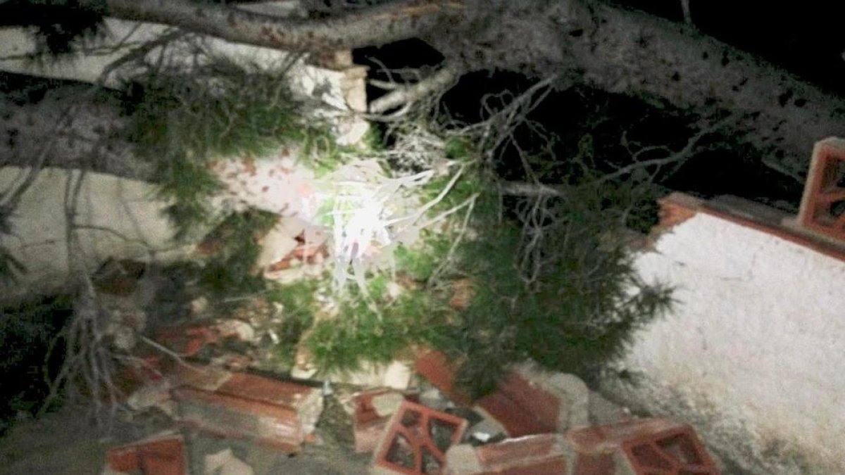 Un pino cae sobre la valla de una casa del Vendrell a causa del viento