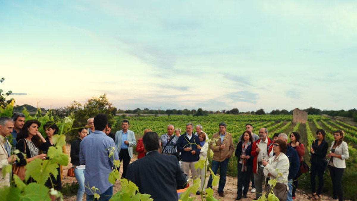 Sopars a flor de pell (de raïm)