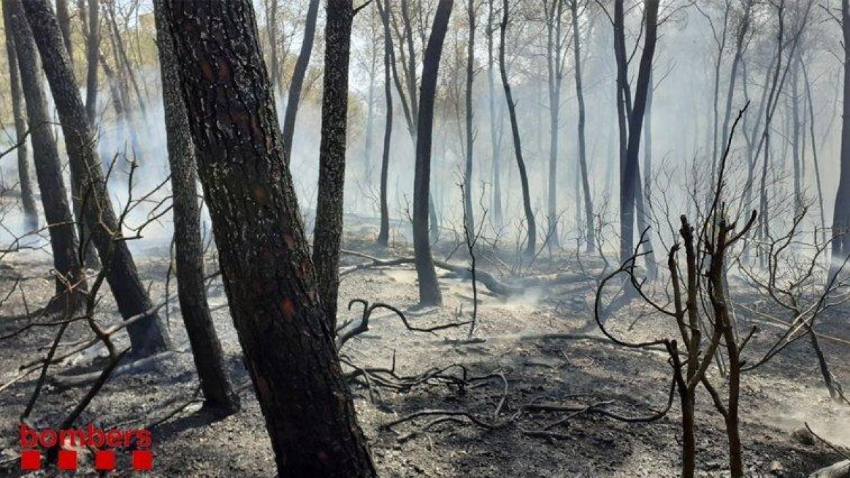 Estabilizado el incendio que ha desalojado el Puente del Diablo