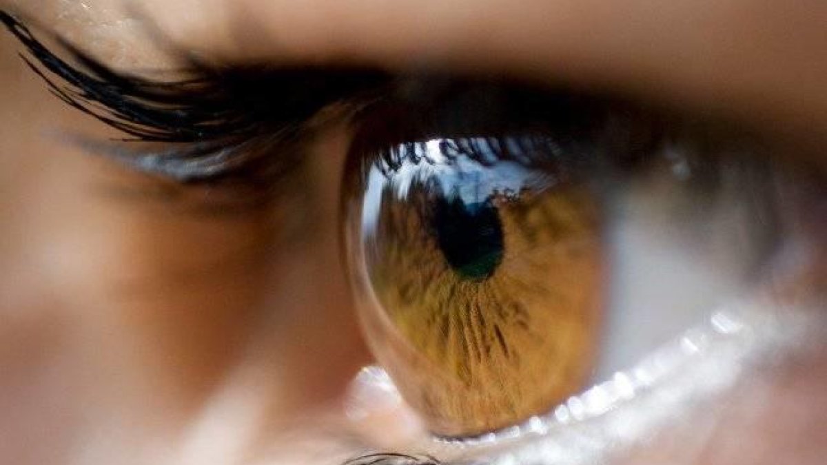 Los expertos alertan de la moda que provoca la aparición de piojos a las pestañas