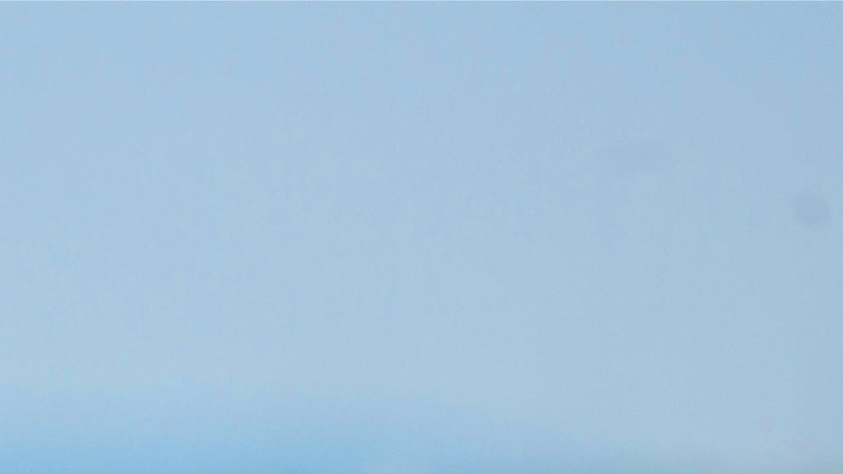 Berenar solidari per recollir fons pel Grup d'Acollides i d'Adopcions d'Animals de Tarragona