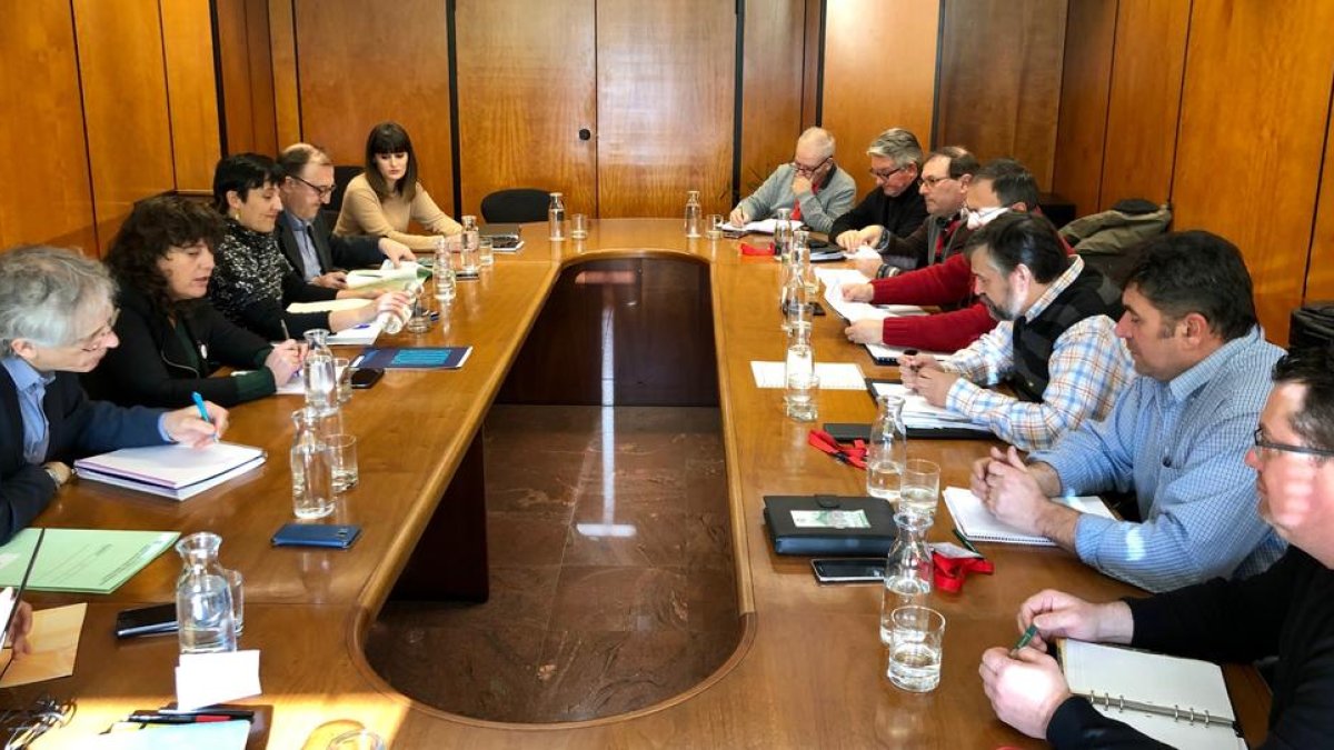 El Departamento de Agricultura destinará ayudas extraordinarias al sector de la avellana