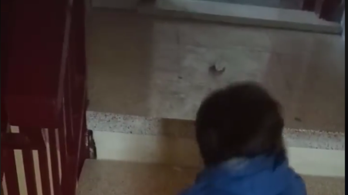 Seis años esperando un piso adaptado para una niña con movilidad reducida