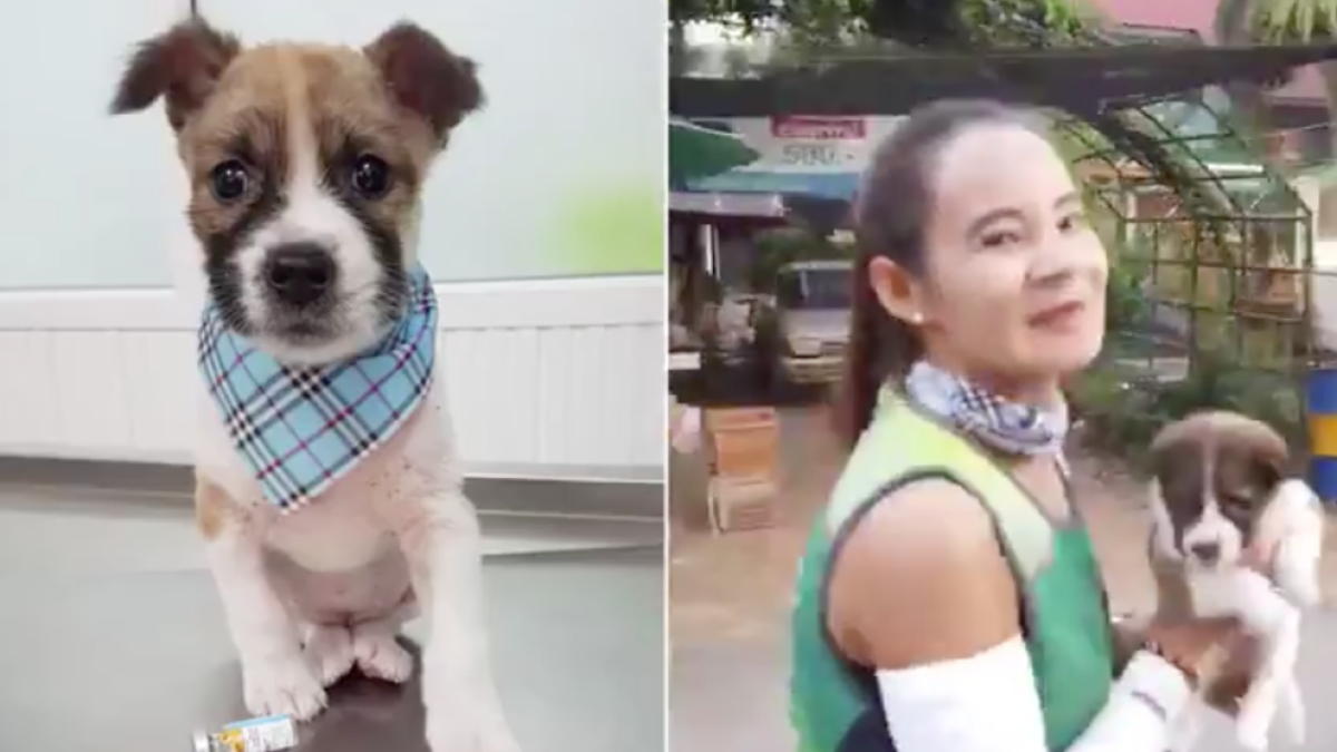 Troba un cadell durant una marató i el carrega durant 30 quilòmetres