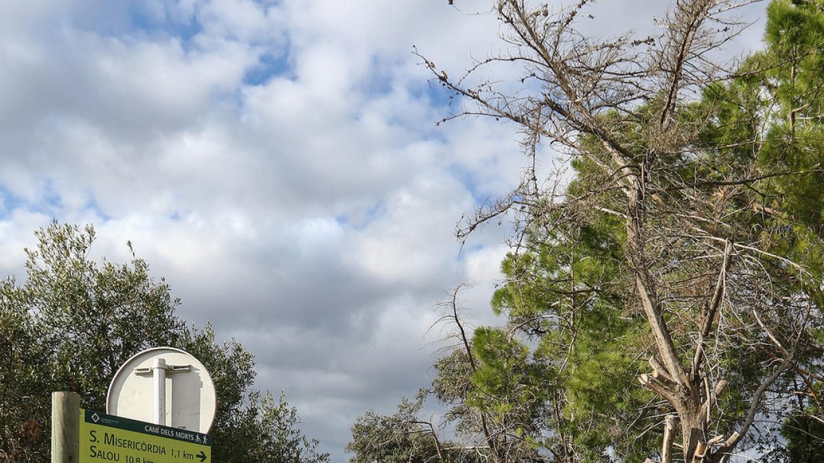 El camí dels Morts, «deteriorat i amb clots i pedaços», es pavimentarà