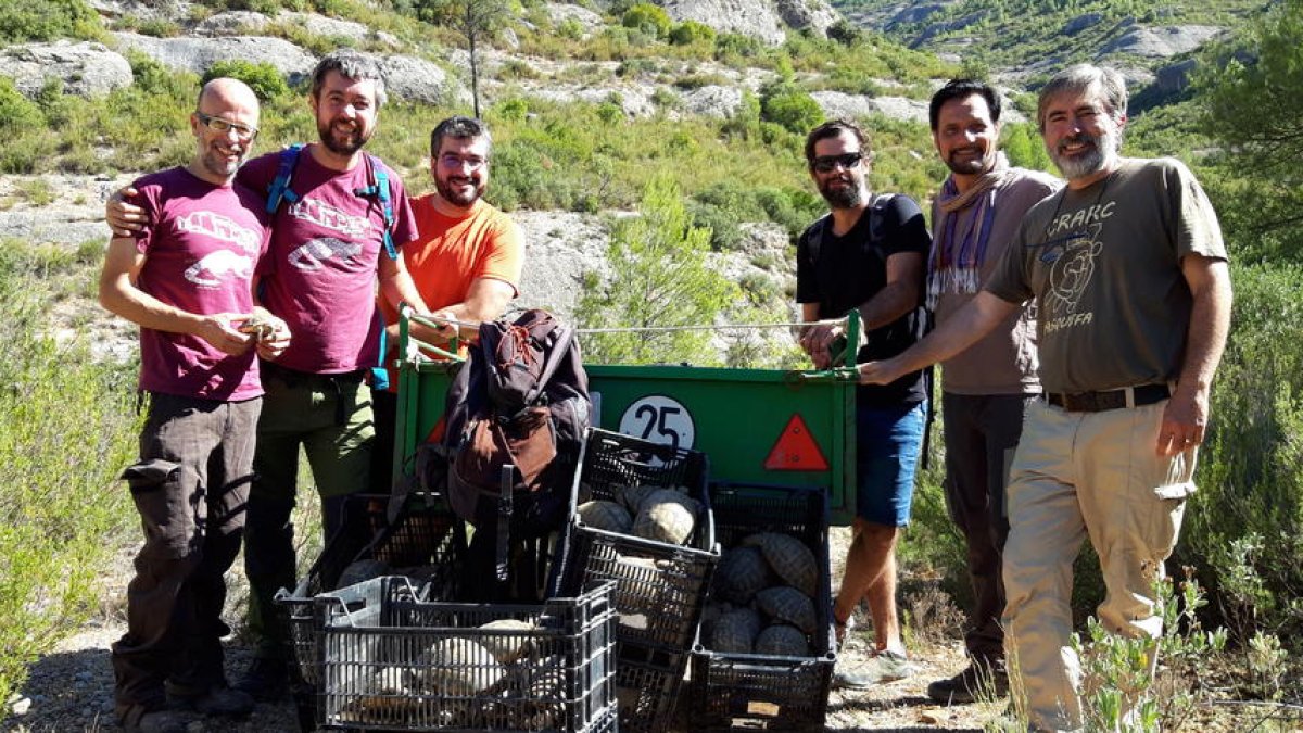 Liberan un centenar de tortugas mediterráneas en el Parque Natural de Montsant