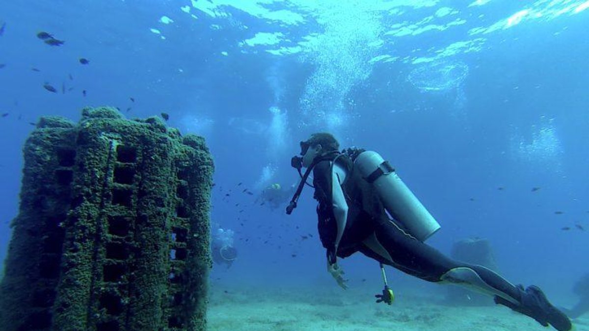 Nuevos biotopos en nuestro fondo marino