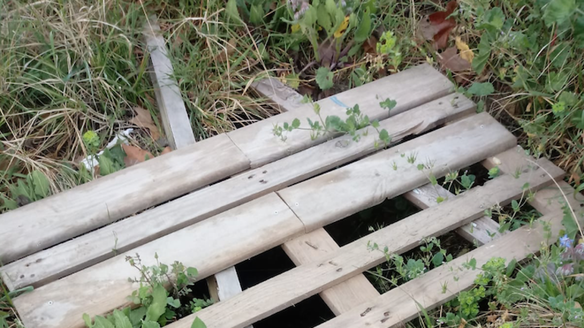 Mas Pellicer alerta de la presencia de un pozo abierto al Tecnoparque