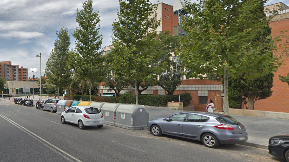 Choca contra un árbol llevando un coche robado y sin carné