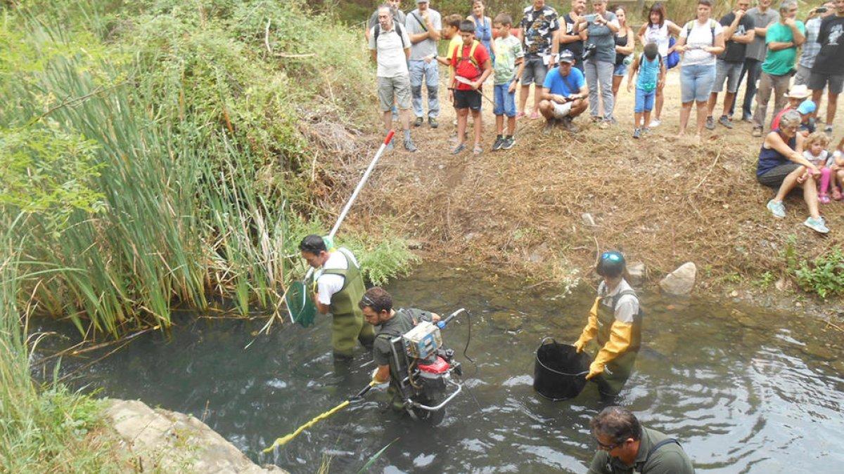 La Plataforma por el Río Siurana denuncia un nuevo aplazamiento de la Mesa|Tabla del Agua