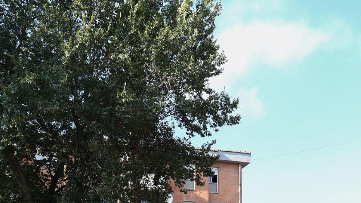 Vivienda desahucia ocupas en Mas Pellicer y se vuelven a poner el mismo día