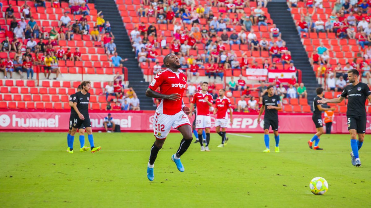 Les vaques sagrades no apareixen