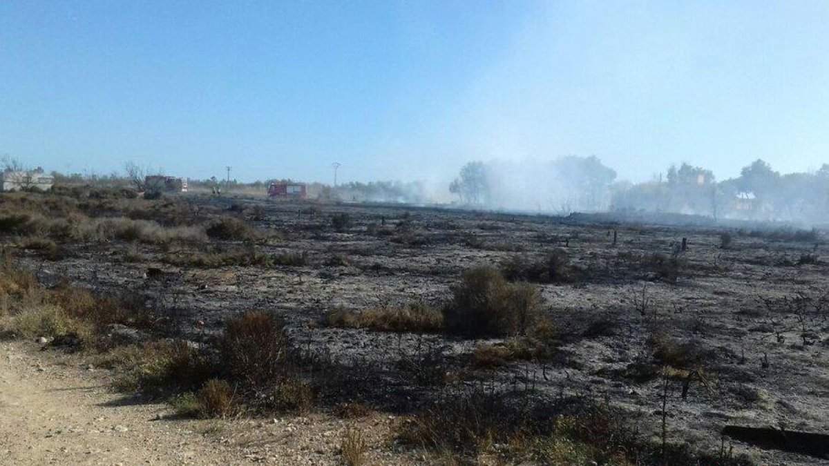Un incendi de vegetació afecta a Deltebre
