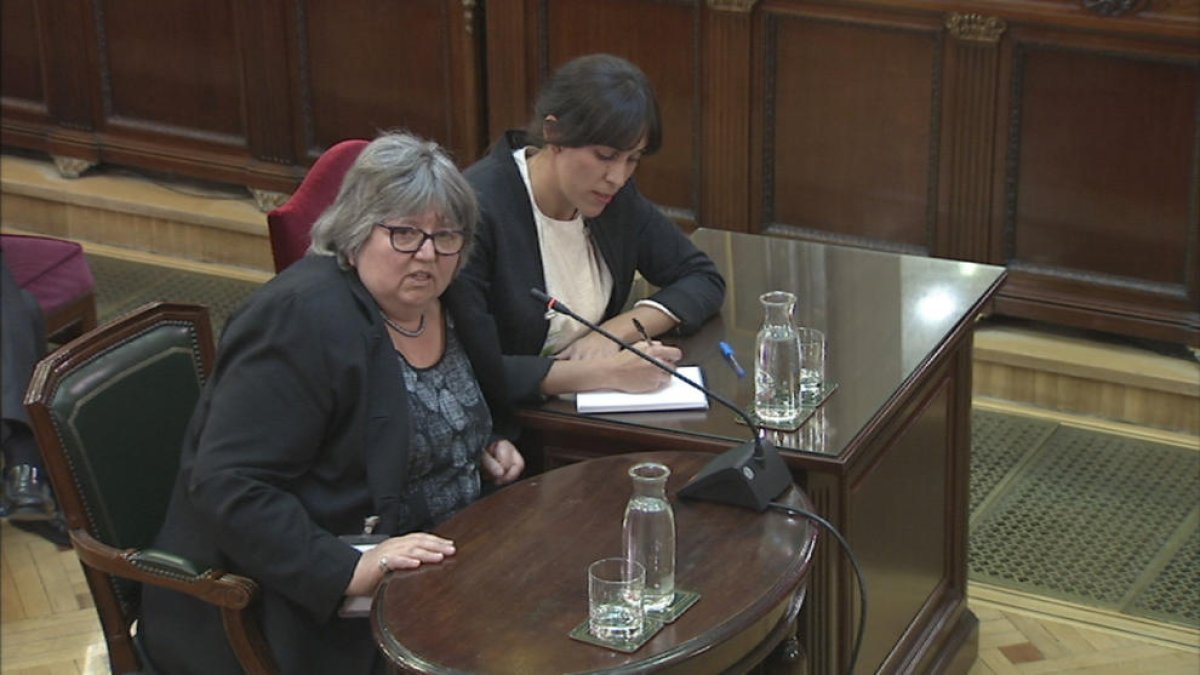 portaveu d'un grup d'experts internacionals, Helena Catt, judici 1-O