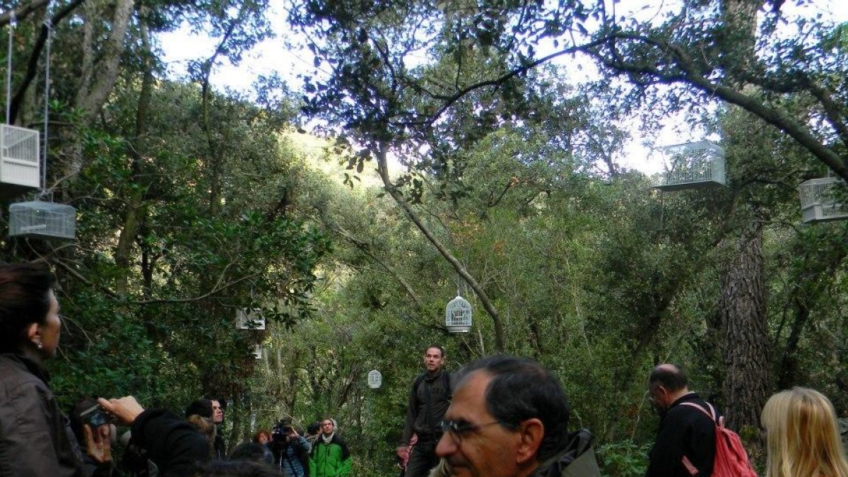 Art en la intimitat del bosc de Poblet