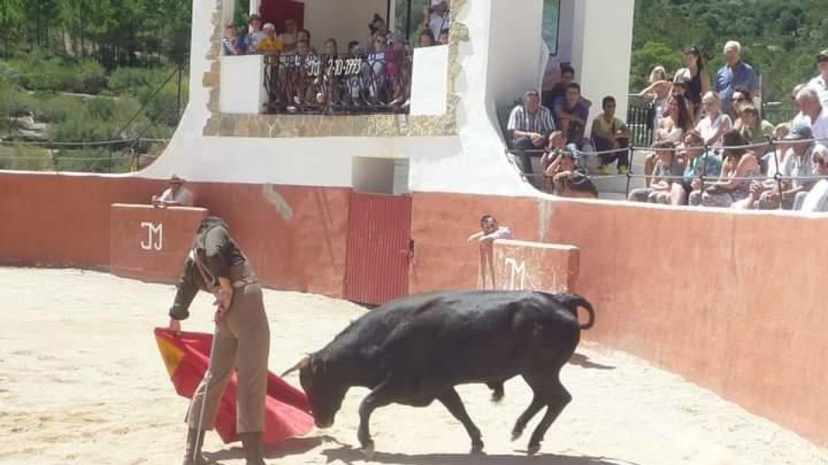 alcalde, ramaderia, sentènci, corrides, desobeir, Alfara de Carles, toros, prohibició, braus, querella, sense mort, Rubén Marín