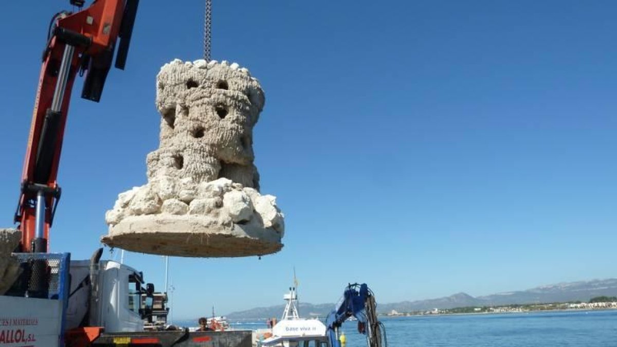 Repsol cede seis biotopos en la playa de Ponent de Salou