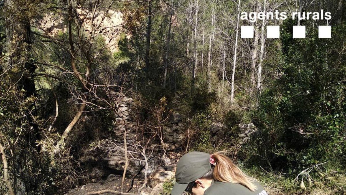 Investigan las causas de tres incendios seguidos en Alfara de Carles