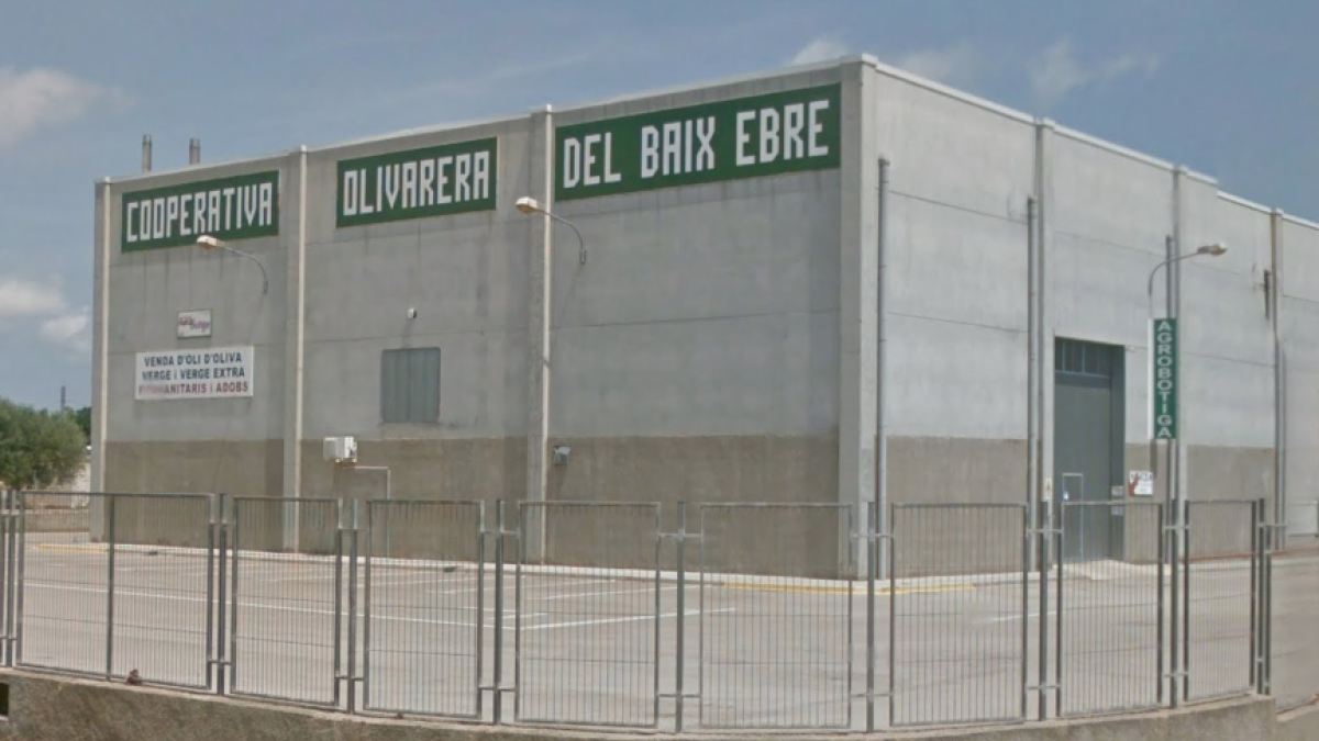Cooperativa Olivarera del Baix Ebre