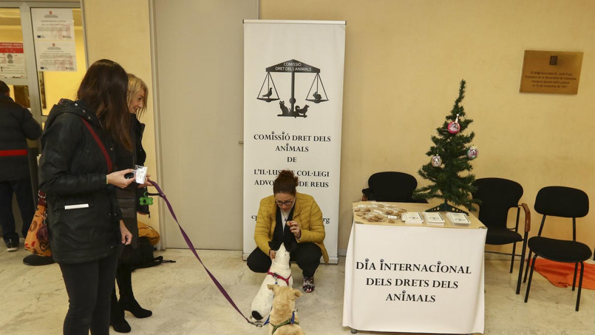 Colegio de Abogados Reus, Juzgados, Día Internacional de los Derechos de los Animales
