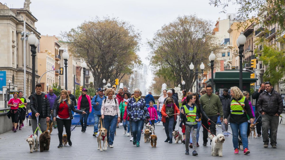 Desenes de gossos i els seus amos passegen pel centre de Tarragona