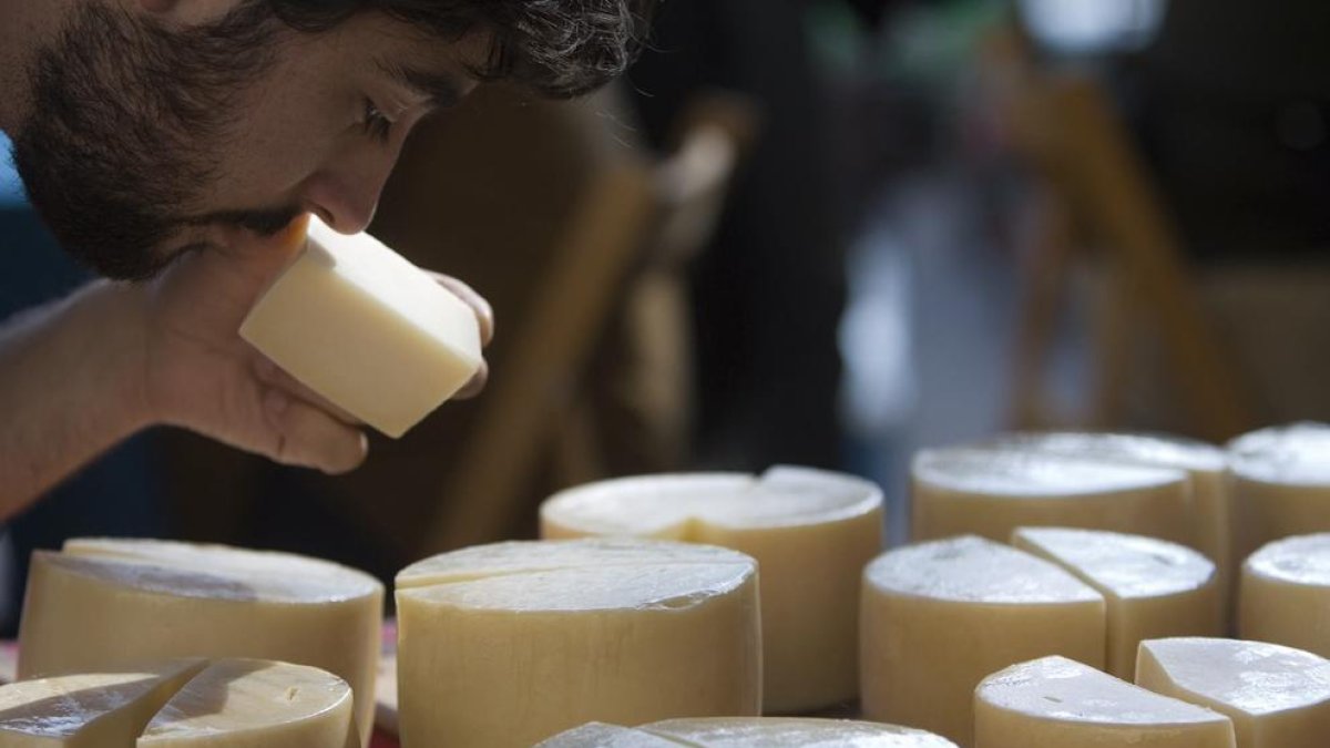 El queso de marca blanca y menos 4 euros que han sido escogidos entre los mejores del 2019