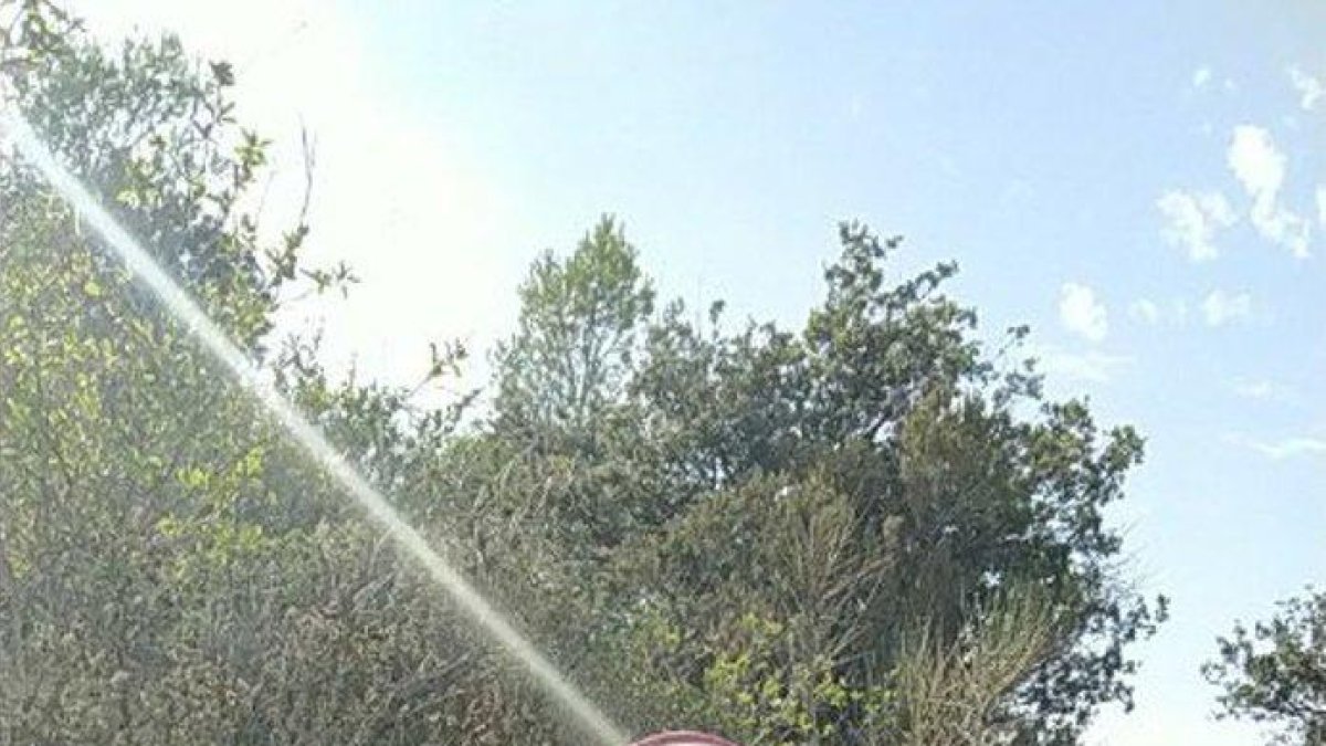 Controlat un incendi que ha afectat 1.800 metres quadrats de vegetació a la Selva del Camp