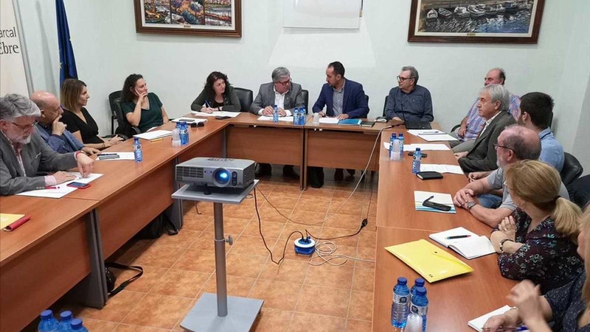 Els alcaldes del Baix Ebre accepten pagar part dels tractaments contra la mosca negra