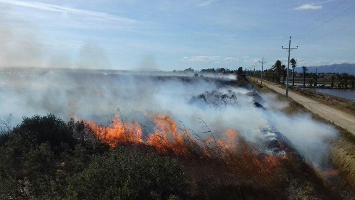 Incendi de vegetació a la zona de la Platjola de Sant Jaume d'Enveja